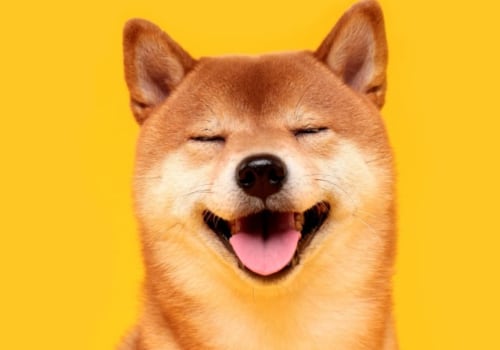 What wallet has the most dogecoin?